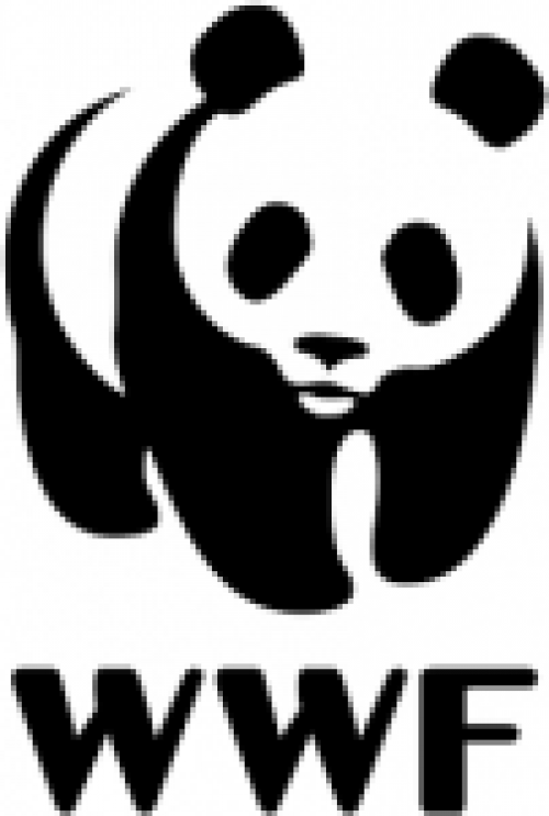 wwf-1-e1605849115987.png Logo